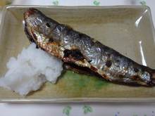DSC00076.jpg