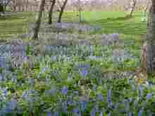 DSC00614.jpg