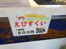 DSC00836.jpg