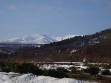DSC00880.jpg