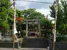 DSC02127.jpg