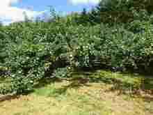 DSC02326.jpg