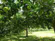 DSC02327.jpg