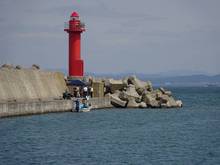 DSC02595.jpg