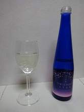 DSC04508.jpg