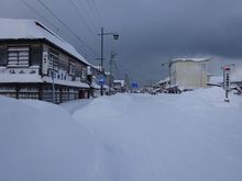 DSC04612.jpg