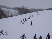 DSC04802.jpg