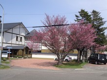 DSC05986.jpg