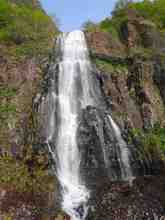 DSC06253.jpg