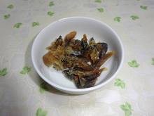 DSC06339.jpg
