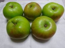 DSC08596.jpg