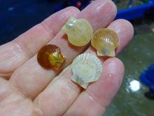 DSC08639.jpg