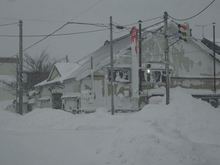 DSC09656.jpg
