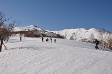 DSC_0036.jpg