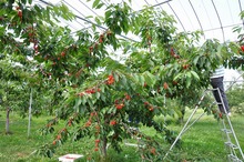 DSC_0059.jpg