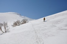 DSC_0071.jpg