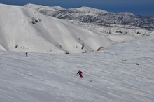 DSC_0098.jpg