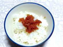 �������̎q (1).jpg