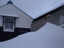 L^Lcl (5).jpg
