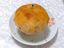 �X�J���s�� (4).jpg