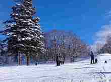 �X�L�[�� (5).jpg