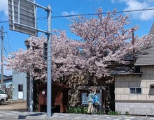 \CVm (1).jpg