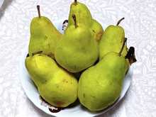 �o���[�h (4).jpg