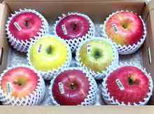 �r���S�Q�[�� (5).jpg