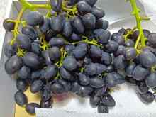 �u�h�E (2).jpg