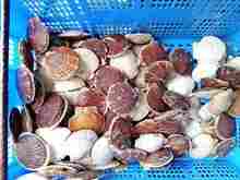 �z�^�e (1).jpg