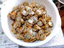 �z�^�e (2).jpg