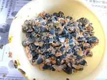 �z�^�e (3).jpg