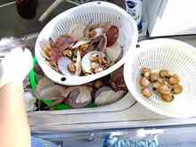 �z�^�e (4).jpg