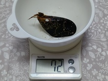 [L (2).JPG