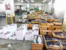 ������ (2).jpg