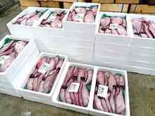 ������ (3).jpg