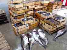 ������ (6).jpg