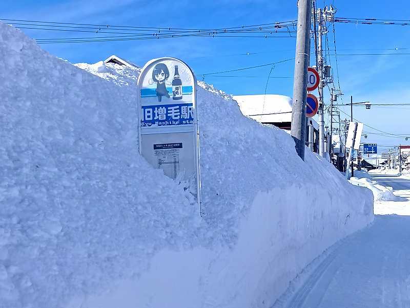大雪: ましけコラム