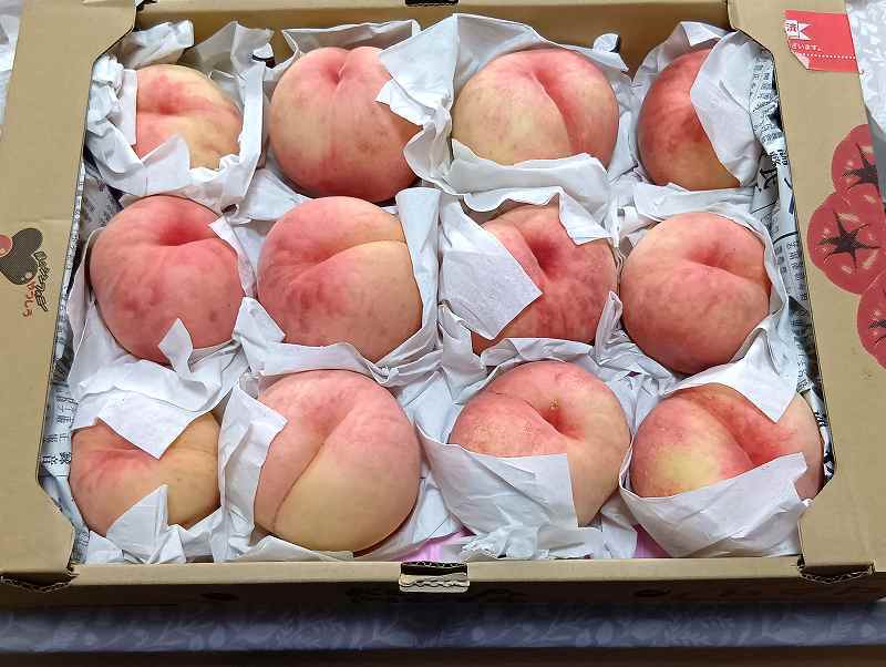 桃とブドウ: ましけコラム