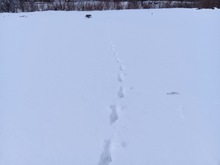 �����X�L�[ (1).jpg