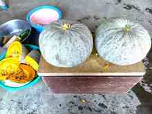 �ቻ�� (4).jpg