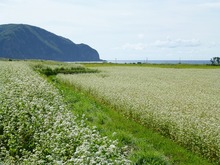 P1000256.jpg