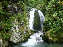 P1000484.jpg
