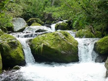 P1000503.jpg
