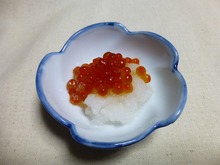 P1000869.jpg