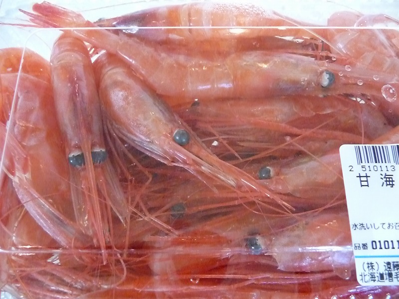 増毛のエビ4種: ましけコラム