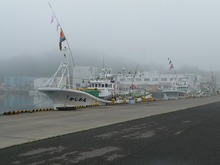 masikekou1.jpg