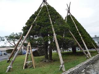 fuyugakoi.jpg