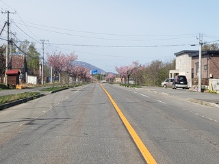 20220429_084115.jpg