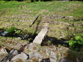 20220603_143331.jpg
